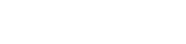 Pixel Pefekt Logo